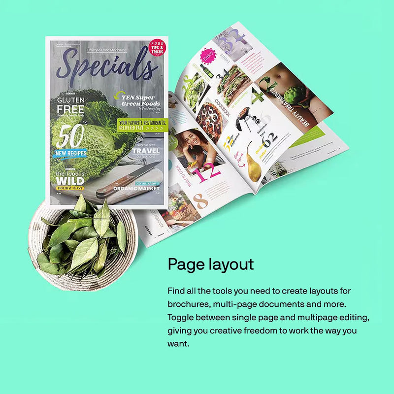 CorelDRAW Full Graphics Suite 2025 Full License Version - Instant Code for PC Software CorelDRAW