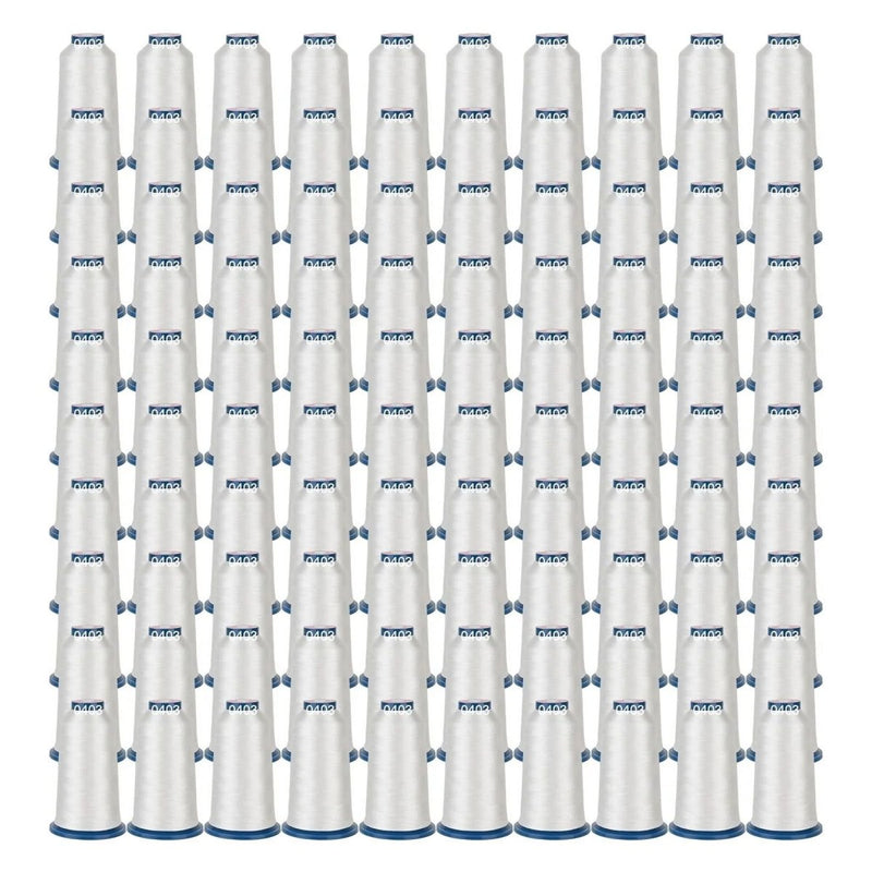 Richword 4000m 108D/2 40wt White Polyester Embroidery Thread Spools - 100pc - Swing Design