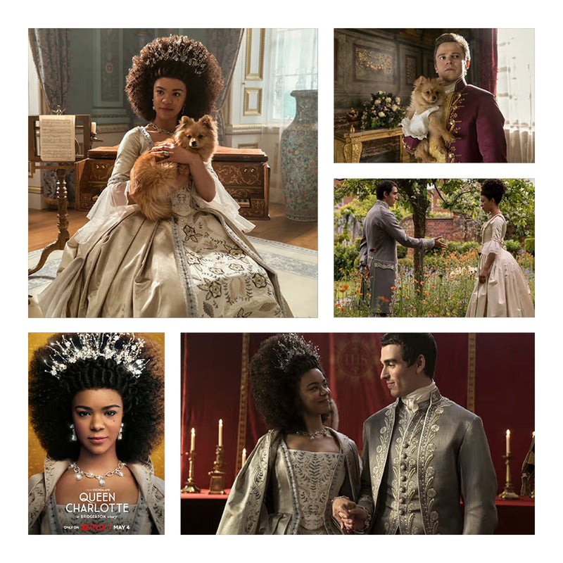 Wilcom EmbroideryStudio Designing & Digitizing Software 2026 Full License Software Wilcom