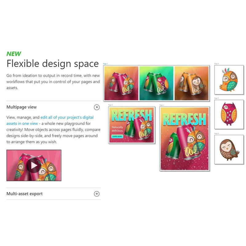 CorelDRAW Full Graphics Suite 2025 Full License Version - Instant Code for PC - Swing Design
