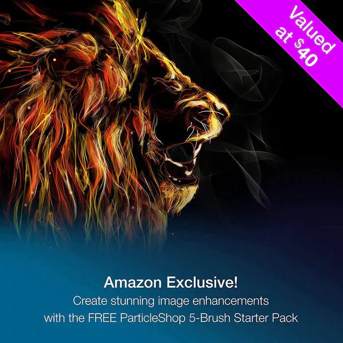 CorelDRAW Full Graphics Suite 2025 Full License Version - Instant Code for PC - Swing Design