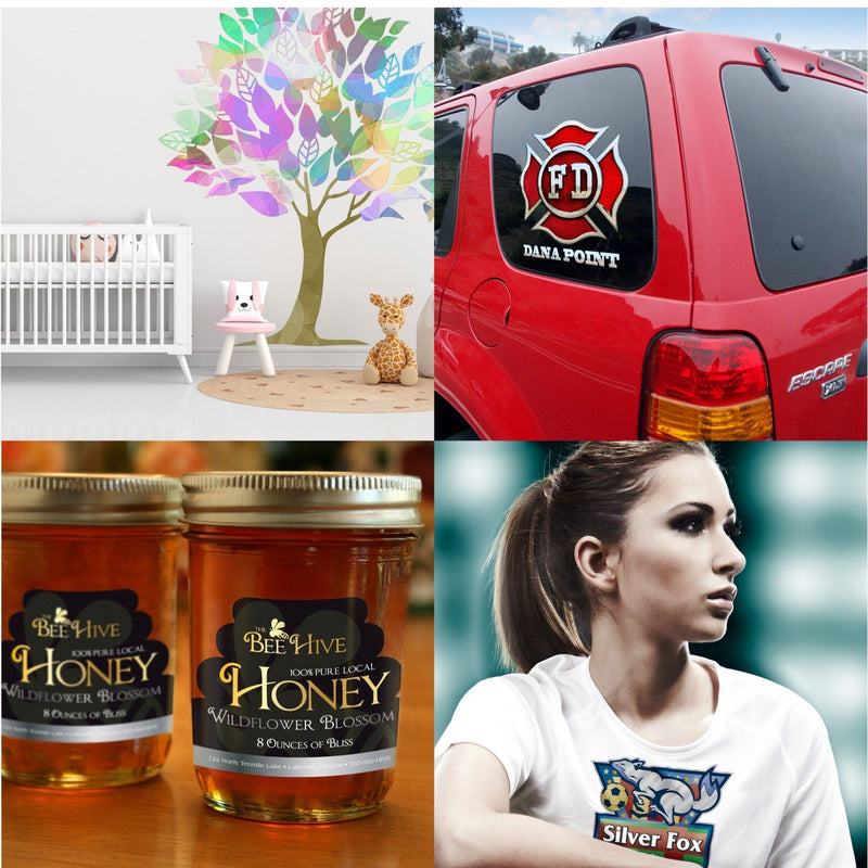 Roland BN-20A Desktop 20" Eco-Solvent Printer & Cutter w/ CMYK Inks & CorelDRAW Eco Printers Roland