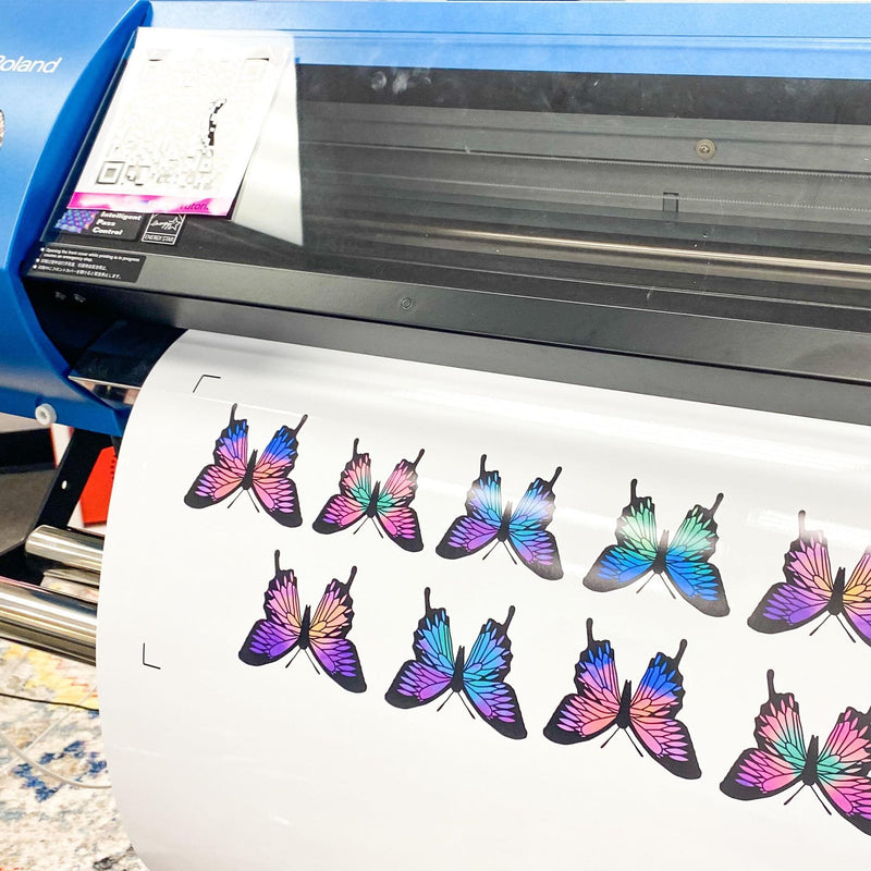 Roland BN-20A Eco-Solvent 20" Printer & Cutter w/ CMYK Inks & Siser Romeo Eco Printers Roland