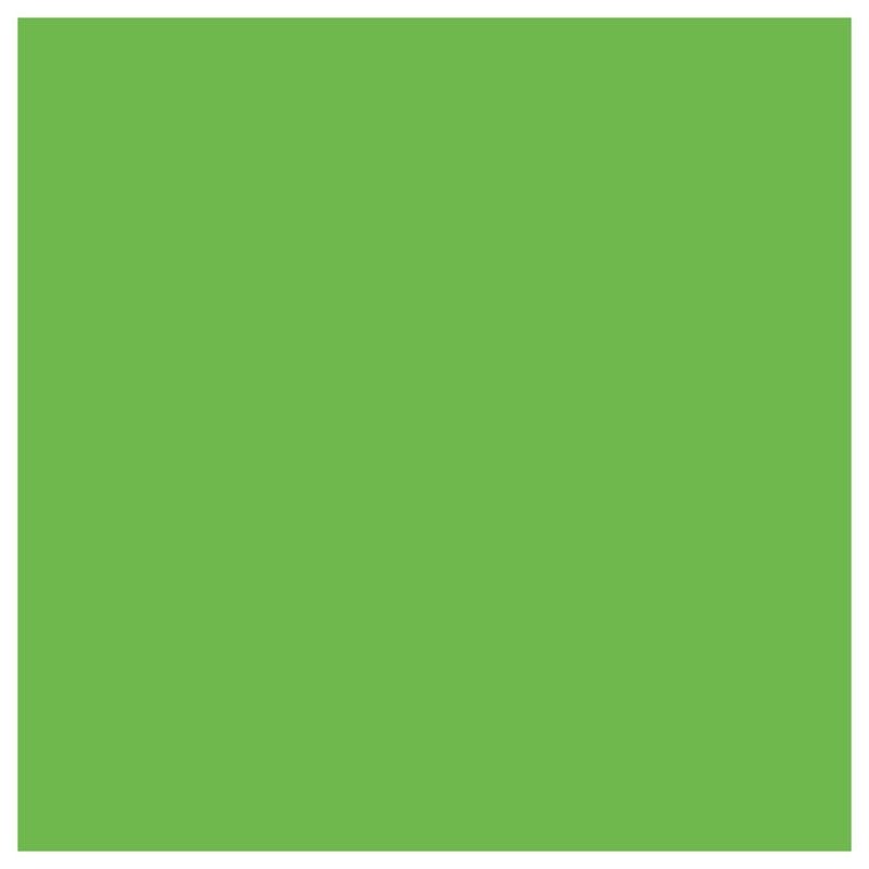 Siser EasyWeed Heat Transfer Vinyl (HTV) - Green Apple12 In x 12 Inch Sheet - Swing Design3