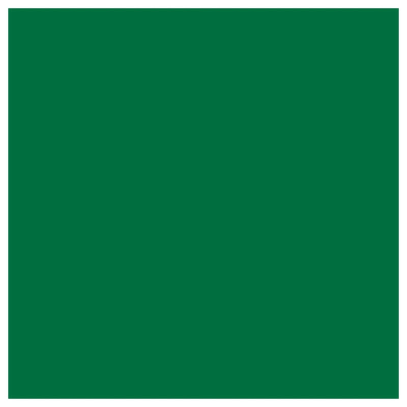 Siser EasyWeed Heat Transfer Vinyl (HTV) - Green12 In x 12 Inch Sheet - Swing Design