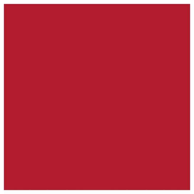 Siser EasyWeed Heat Transfer Vinyl (HTV) - Red12 In x 12 Inch Sheet - Swing Design