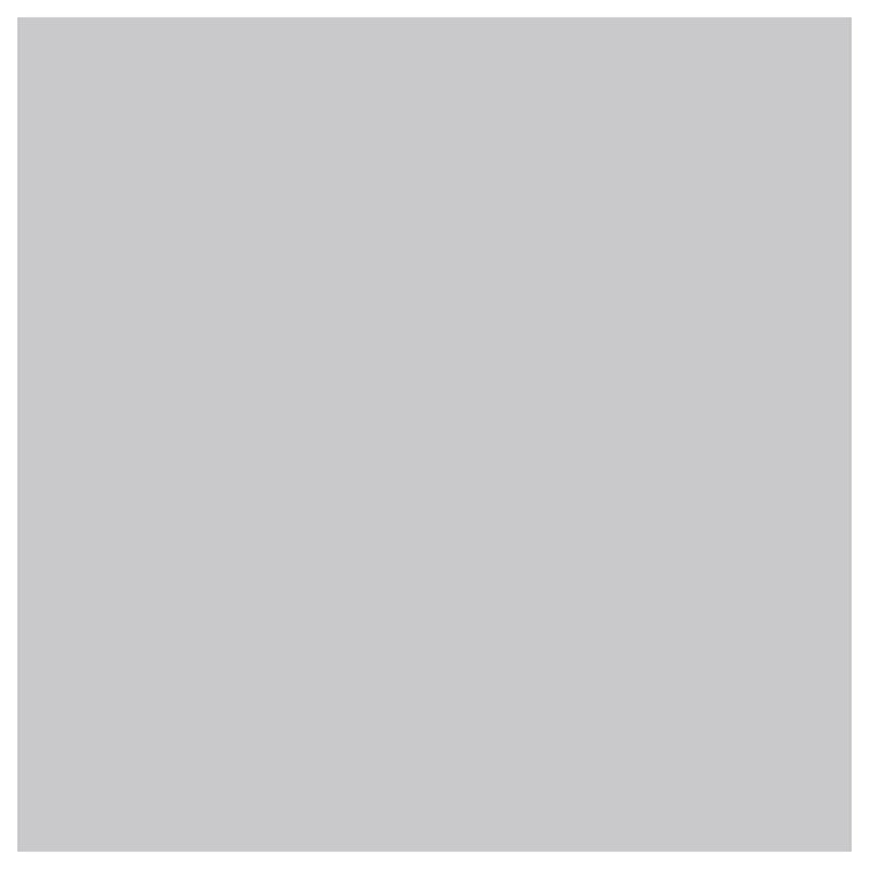 Siser EasyWeed Heat Transfer Vinyl (HTV) - Silver12 In x 12 Inch Sheet - Swing Design