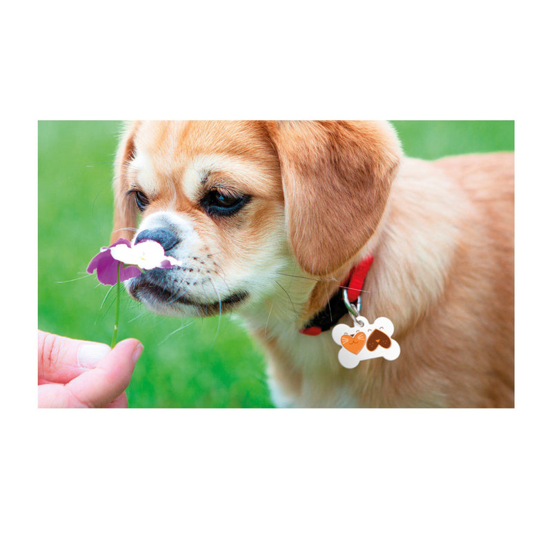 Unisub Sublimation Bone Pet Tag Blanks - 2-Sided - 4738 - Swing Design