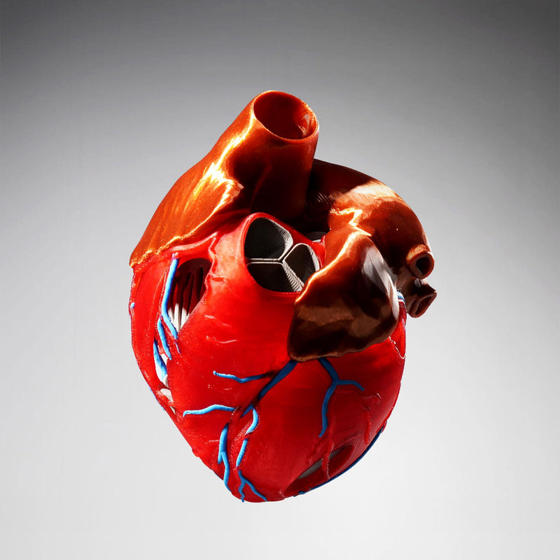 Bambu Lab H2D PRO Dual Head 3D Printer Bundle with 5 Spool AMS System 3D Printer Bundle Bambu Lab 