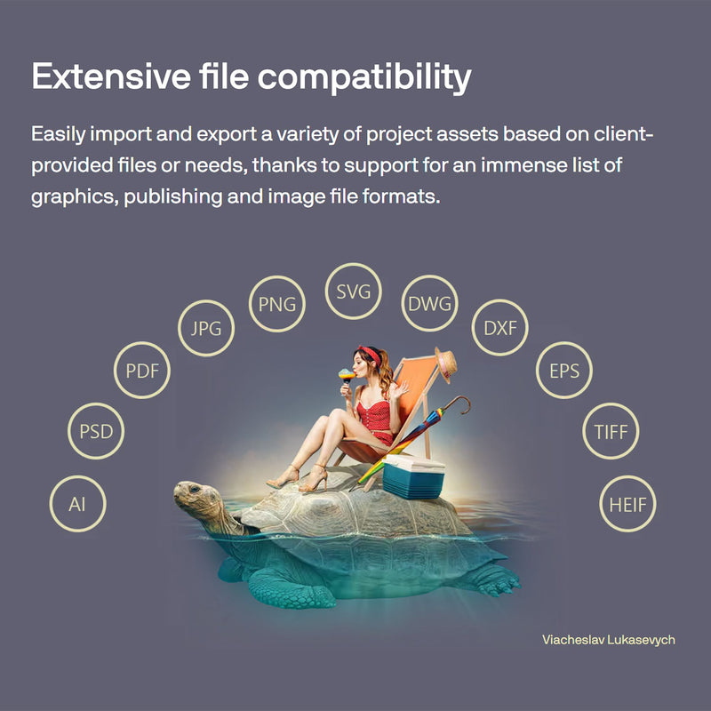 CorelDRAW Full Graphics Suite 2025 Full License Version - Instant Code for PC Software CorelDRAW 