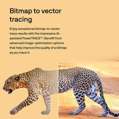 CorelDRAW Full Graphics Suite 2025 Full License Version - Instant Code for PC Software CorelDRAW 