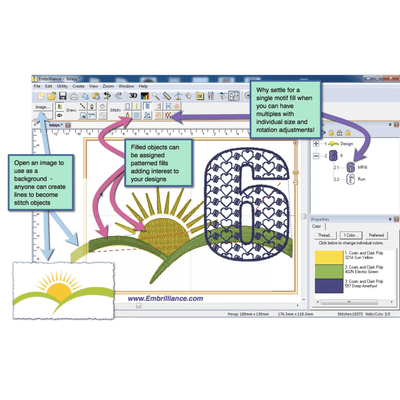 Embrilliance StitchArtist Embroidery Digitizing Software | Upgrade Codes Level 2 to Level 3 Swing Design 6