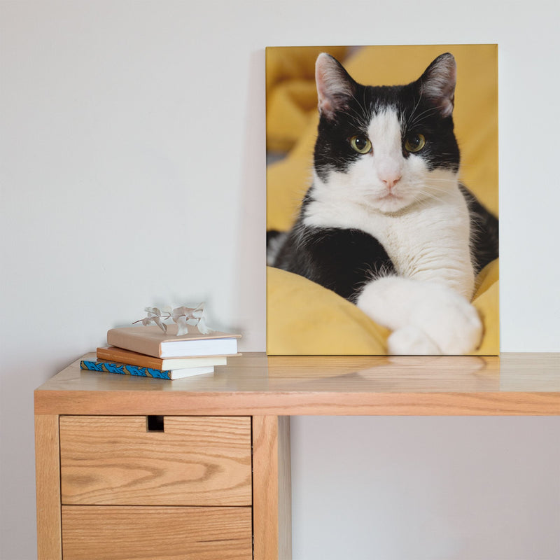 Epson T48L UltraChrome PRO6 Ink Set - 700ml Inkjet Printer Epson 