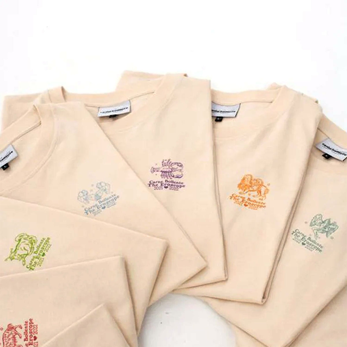 POOLIN EOC06 7.9in x 11in Embroidery Machine with 80 Embroidery Spools Bundle Brother Sewing Bundle Poolin 