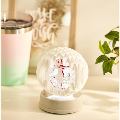 Silhouette Curio 2 w/ 38 Oracal Vinyl Sheets, Siser HTV, Guides, 24 Pens - Swing Design43
