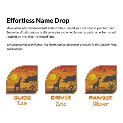 Wilcom EmbroideryStudio Designing & Digitizing Software 2026 Full License Software Wilcom 