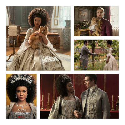 Wilcom EmbroideryStudio Designing & Digitizing Software 2026 Full License Software Wilcom 