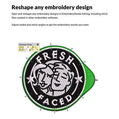 Wilcom EmbroideryStudio Editing Software 2026 Full License Software Wilcom 