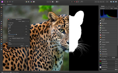Affinity Professional Photo Software Latest Version - Instant Code Software Serif 