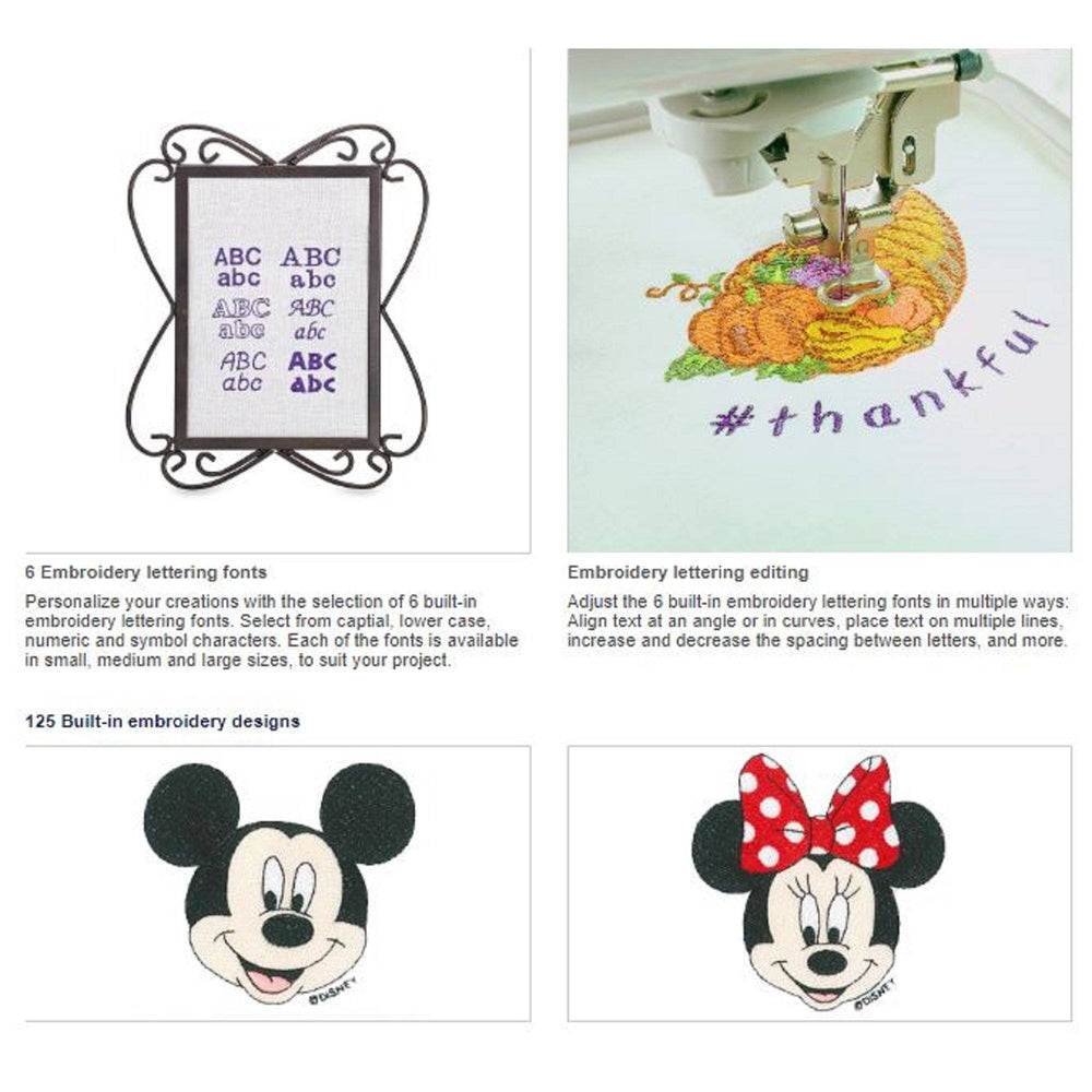 Brother PE550D Embroidery Disney Bundle Swing Design