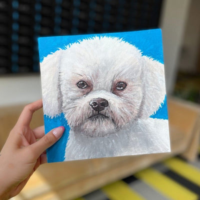 Cupixel Acrylic Canvas Bundle Set Silhouette Cupixel 