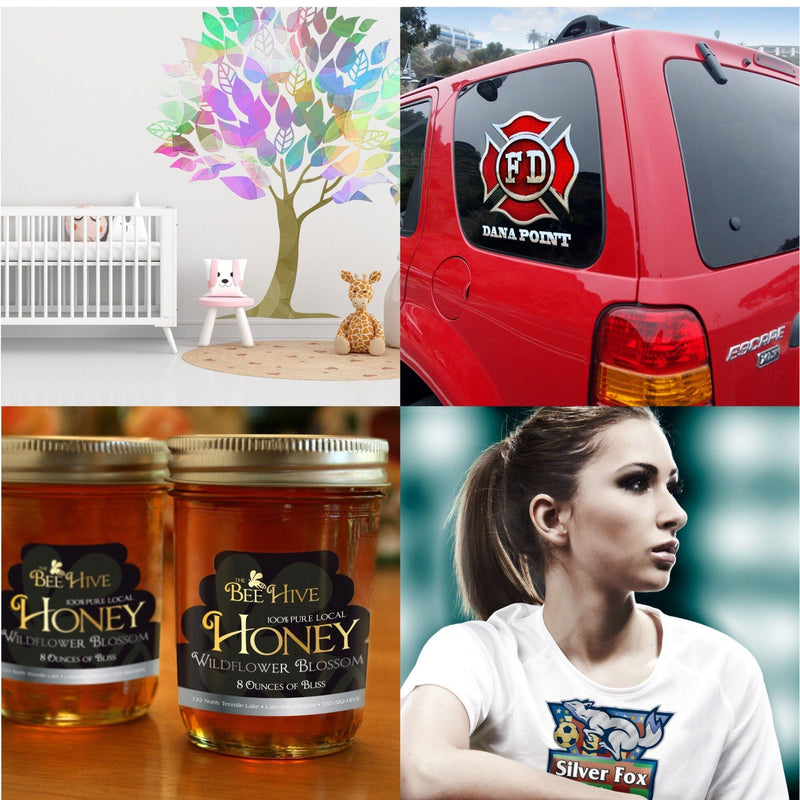 Roland BN-20A Eco-Solvent 20" Printer & Cutter w/ Siser Romeo & CMYK Inks Eco Printers Roland 