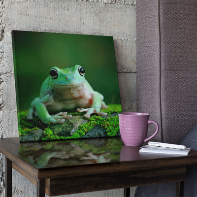 Roland Solvent Gloss Canvas - 30" x 99 FT Eco Printers Roland 
