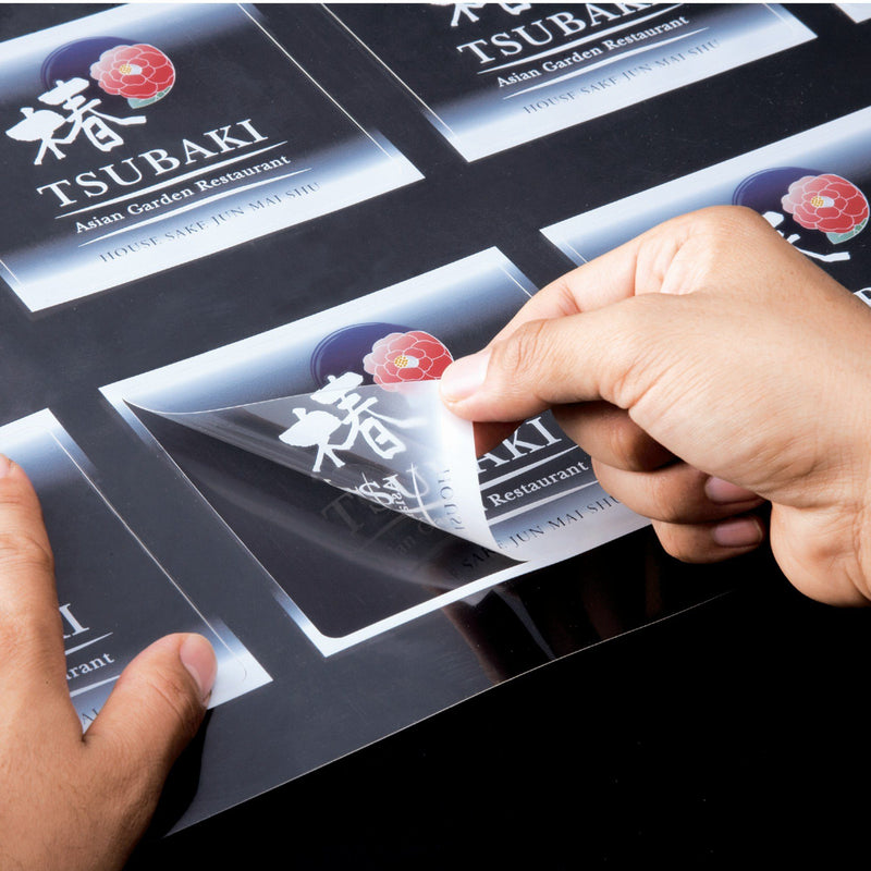 Roland VersaStudio BN-20A Desktop 20" Eco-Solvent Printer & Cutter Eco Printers Roland 