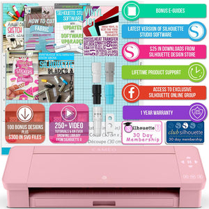 Silhouette Blush Pink Cameo 4 w/ Swing Design 15" x 15" Coral Heat Press Silhouette Bundle Silhouette 